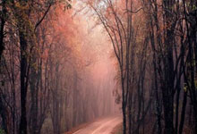 28国际官网：拜仁迎来后卫伤病潮，记者：格雷茨卡能够胜任中后卫.