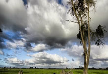 28国际官网：拜仁迎来后卫伤病潮，记者：格雷茨卡能够胜任中后卫.